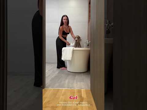 Sonu Monu hanımın evini mahvettiğinde#shortvideo