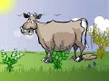Nitrogen Cycle and Bacteria