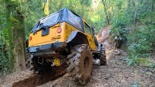 Trilha da Manilha - Atoleiros, Rio e Pedras na Mata - Troller T4