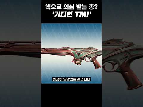 잘만 쏜다면 핵으로 의심받을 수 있는 총이 있다? '가디언 TMI' #shorts