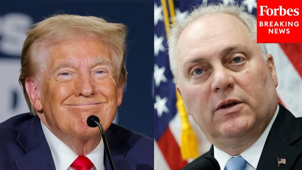 Steve Scalise: GOP Will ‘Be Ready To Go Work Day One’ To Help Pass The Trump Agenda