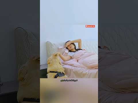 **عندما أنقذ الكلب حياة صاحبه 🐶❤️🚑**