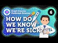 Medical Diagnosis and Testing Concepts