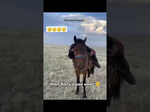 В сеть вышло видео, где парень устал после езды верхом на лошади