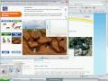 Rabbit Population Dynamics and Self-Test