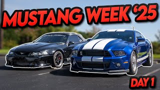Taking An 1100HP GT500 and 700HP Saleen To Mustang Week!