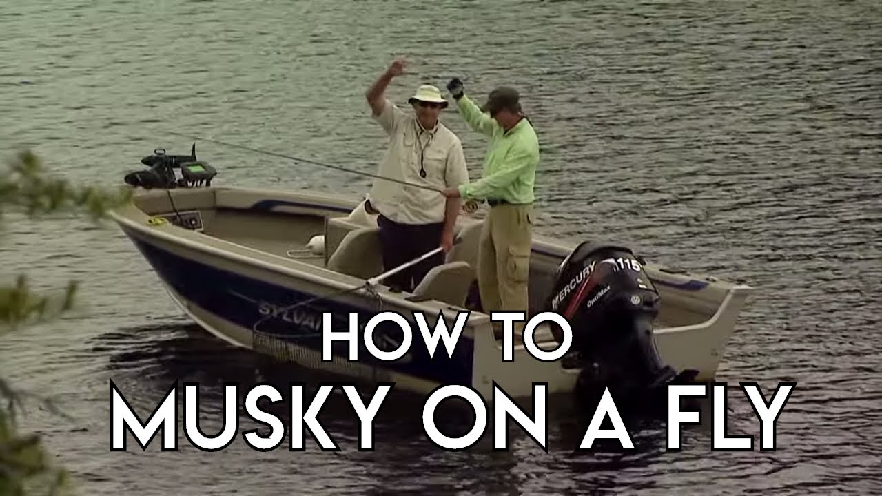 French River Musky - The New Fly Fisher