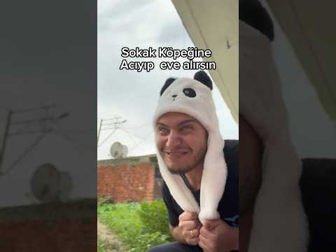 SOKAK KÖPEĞİNİ EVE ALIRSIN🥺