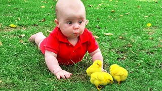 Cute and Funny Babies And Farm Animals Moments - Best Baby Video || COOL PEACHY🍑