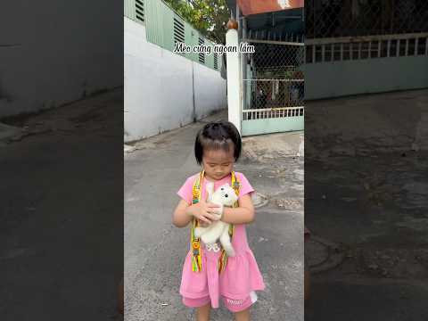 Thu nhận 2 em Mèo #short