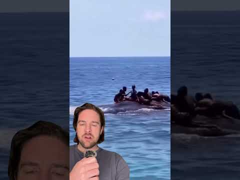 A whale in Indonesia befriends a group of boys