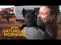 Veterinary Care Challenges and Solutions in the Navajo Nation