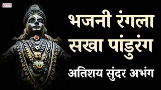 भजनी रंगला सखा पांडुरंग | विठ्ठल भक्ती गीत | Vitthal Bhajan Songs | Vitthal Bhakti | विठ्ठलाची गाणी