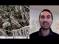Freezing Rain and Sleet Concepts