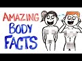 Human Body Facts and Statistics