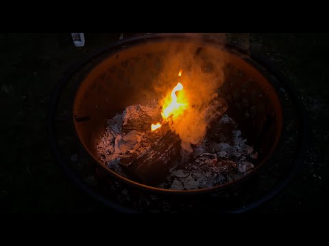 Enjoying The New Fire Pit & Skunk At The Neighbors...