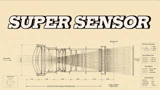 the psychology of high sensitivity | the mechanical blueprint of the super sensor