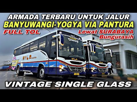 VINTAGE SINGLE GLASS Untuk Jogja - Banyuwangi Via Pantura 😍| Bawa Pulang Bus Terbaru MILA SEJAHTERA