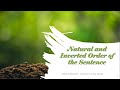 Understanding Sentence Structure and Order
