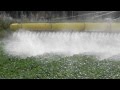 Nitrogen Conversion and Fertilizer Impact