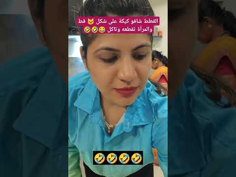 الكيكة على شكل قطة طالعو القطط🤣😂😂😂🤣🤣 #اكسبلور #كوميديات #ضحك #funny  #العالم_العربي #shortvideo