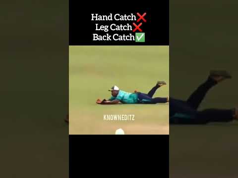 The Wildest Cricket Catches Ever🤣💀#shorts #cricket #Knowneditz