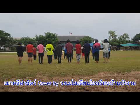 เมาคลีล่าสัตว์ Cover by วงเมโลเดียนโรงเรียนบ้านบัวงาม
