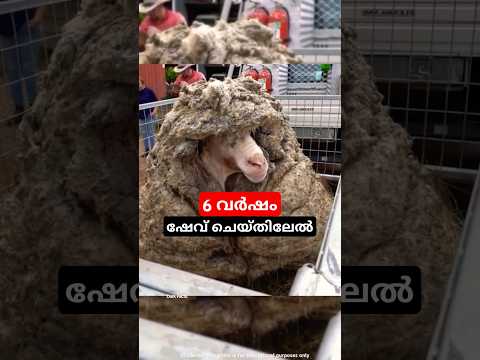 6 വർഷം ഷേവ് ചെയ്തില്ല