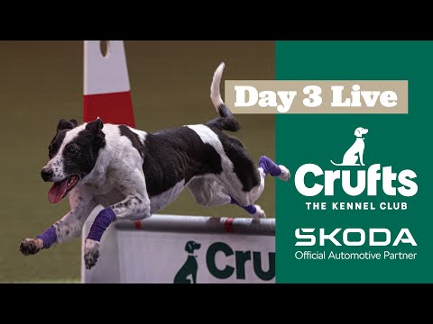 Day 3 LIVE | Crufts 2025