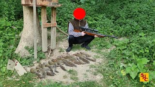 Pest Control with Air Rifles - Squirrel Shooting - Passing it on