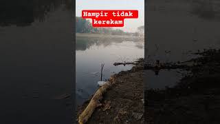 Terlalu cepat makan, ikan nila ini hampir tidak kerekam # #mancingnilaliar #fishing