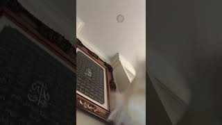 Yawn (pt20)