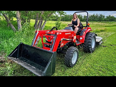 Tackling our Overgrown Yard