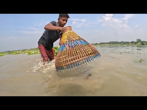 OMG! Boys Polo Fishing Video | Big Catfish By Bamboo Tools Polo | #boyfishingvideo #catchfish