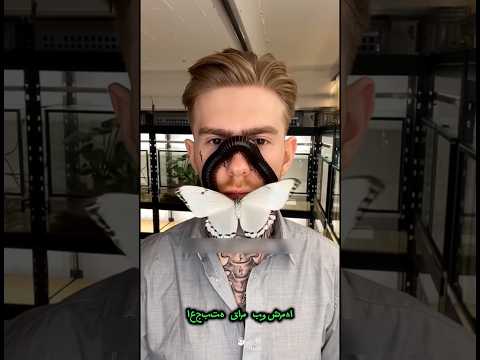 الرجل الذي يرسم الوشم على الحشرات 🦋