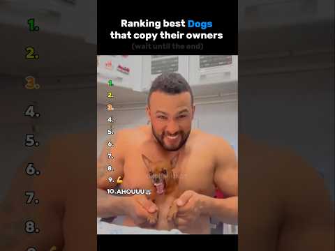 Ranking best Dogs that copy their owners🐶/dont forget to subscribe❤️#shorts