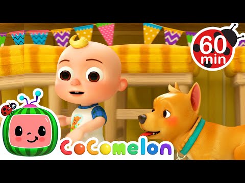 Mi perro, Bingo | 🍉 Cocomelon  📺 TV para niños 📺 Caricaturas, dibujos animados para niños