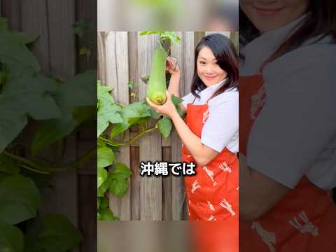 元気なヘチマに重りをつける理由