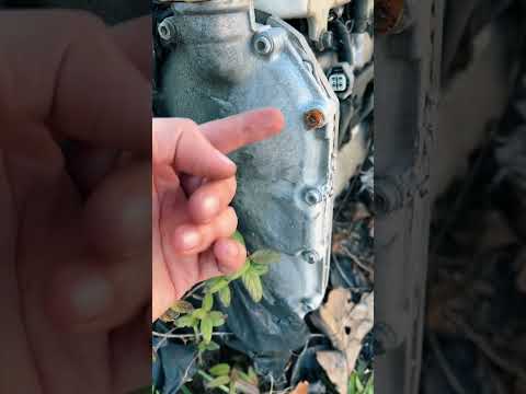 @mactoolsvideos #RBRT Sockets FTW! #mrsubaru1387 #shorts