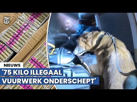 Vuurwerkcontrole: Hond Luna vindt vijfduizend nitraatbommen