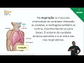 Características e Funções da Respiração