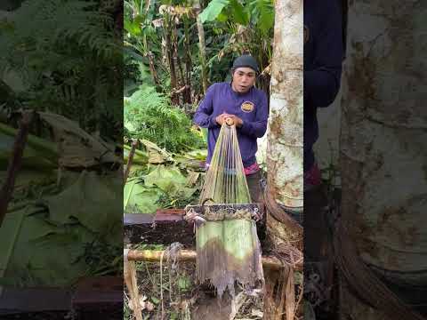 cara membuat benang dari batang pisang dng alat seadanya
