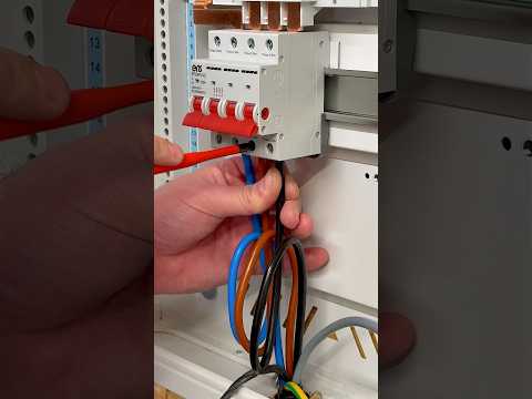 Armoured Cable Action!