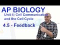 Homeostasis and Feedback Mechanisms