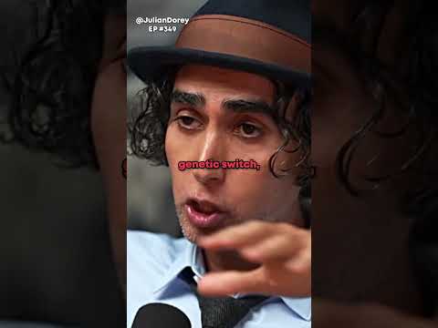 The SECRET Behind Trauma!