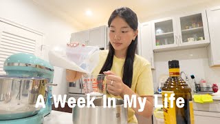 week in my life │ packing for korea, blackpink concert, dinner nights w friends, making tiramisu!