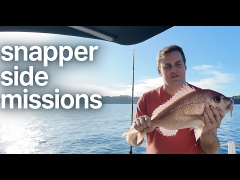 New Zealand's FAVOURITE fish! Softbaiting snapper in the shallows.