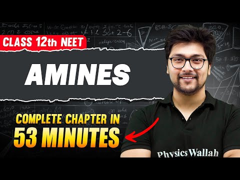 AMINES in 53 Minutes | FULL Chapter For NEET | PhysicsWallah