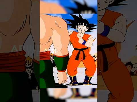 Goku's Weighted Clothing...