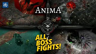 Archer VS All BOSS! Anima ARPG 2020 Gameplay (Android)